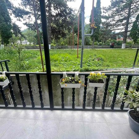 Apartamento New Borjomi Exterior foto